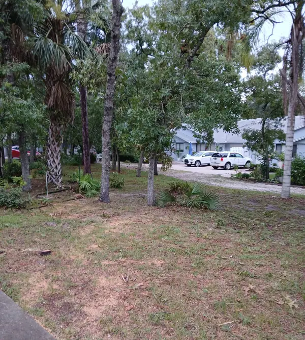 Front yard under oaks and palms with the storm debris cleared